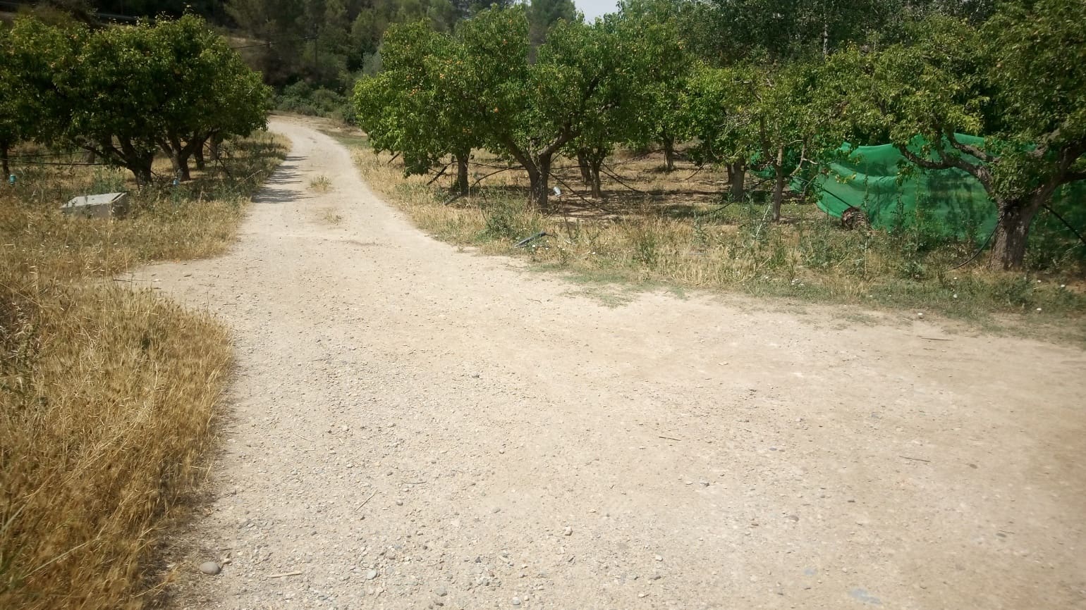 Finca/Herregård til salgs i Ginestar - € 12 500 (Ref: 9394230)