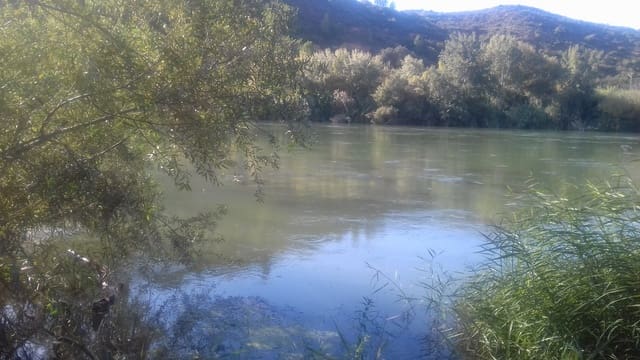 Finca/Country House for sale in Ginestar - € 12,500 (Ref: 9394230)