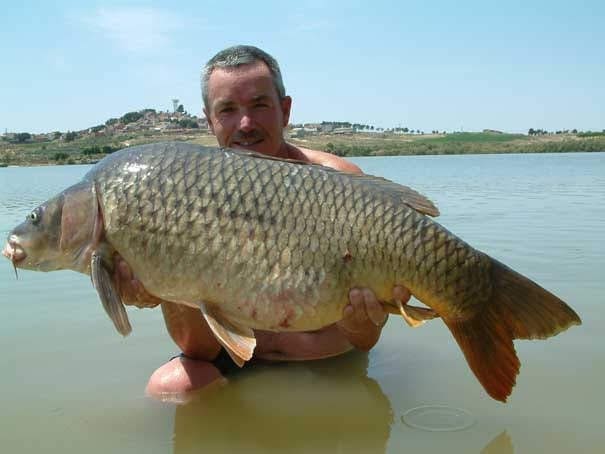 Finca/Maison de Campagne à vendre à Asco - 32 500 € (Ref: 9394445)