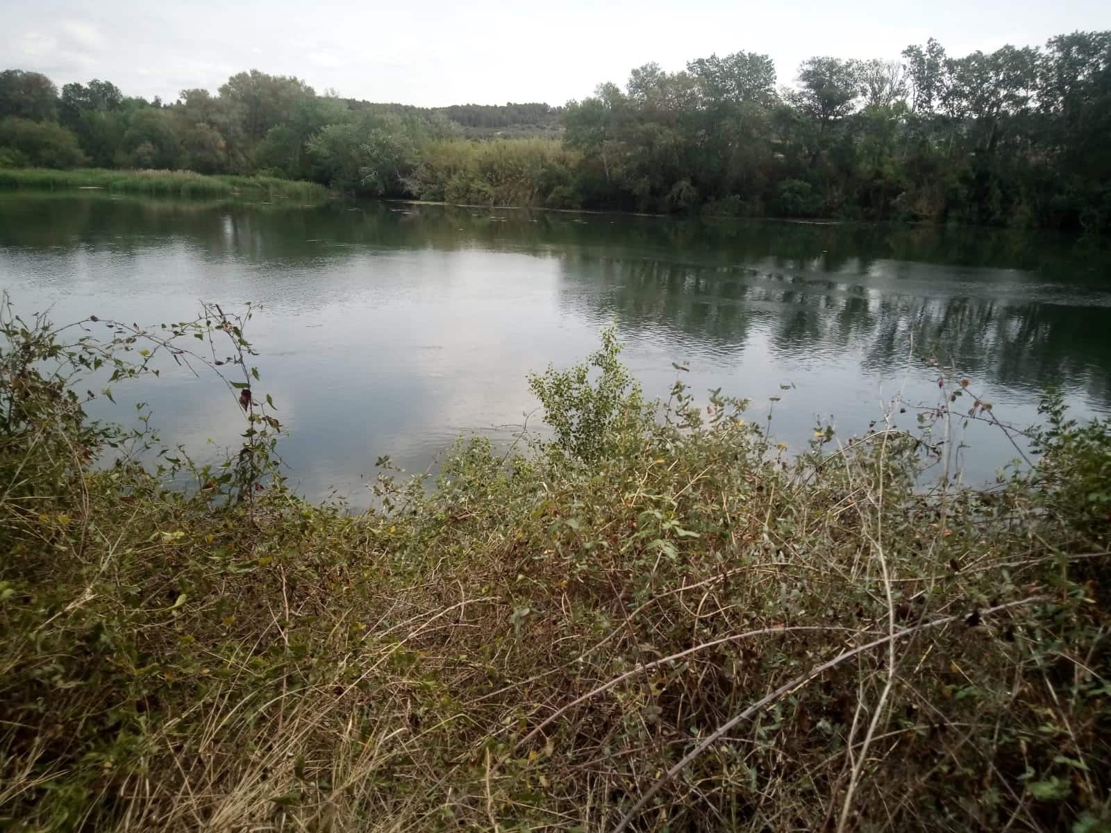 Finca/Maison de Campagne à vendre à Asco - 32 500 € (Ref: 9394445)