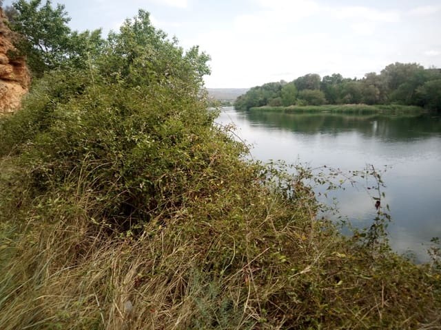 Finca/Country House for sale in Ascó - € 32,500 (Ref: 9394445)