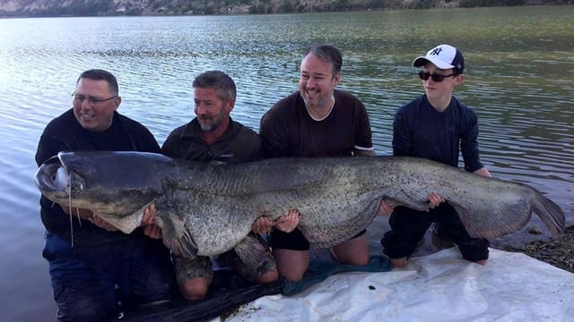 Finca/Country House for sale in Ascó - € 32,500 (Ref: 9394445)