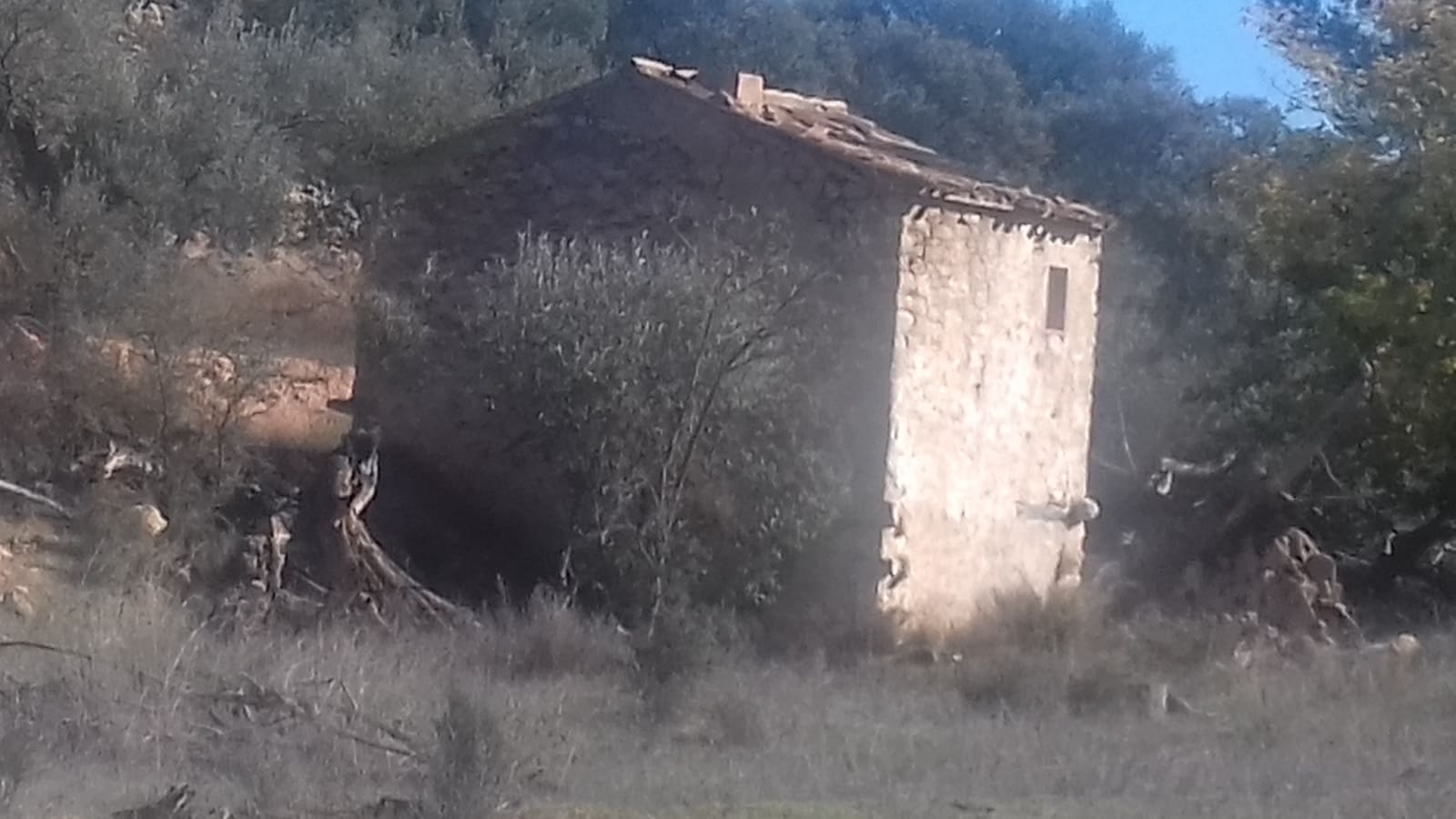 Finca/Maison de Campagne à vendre à Asco - 32 500 € (Ref: 9394445)