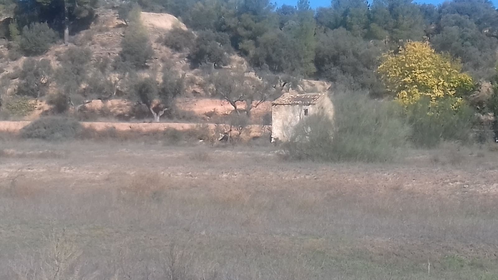 Finca/Maison de Campagne à vendre à Asco - 32 500 € (Ref: 9394445)