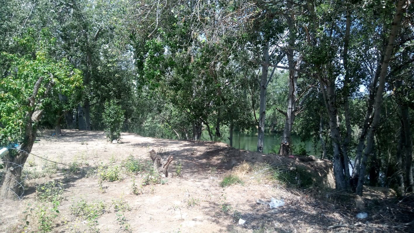 Finca/Maison de Campagne à vendre à Asco - 32 500 € (Ref: 9394445)