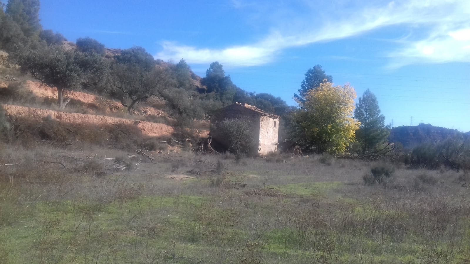 Finca/Maison de Campagne à vendre à Asco - 32 500 € (Ref: 9394445)