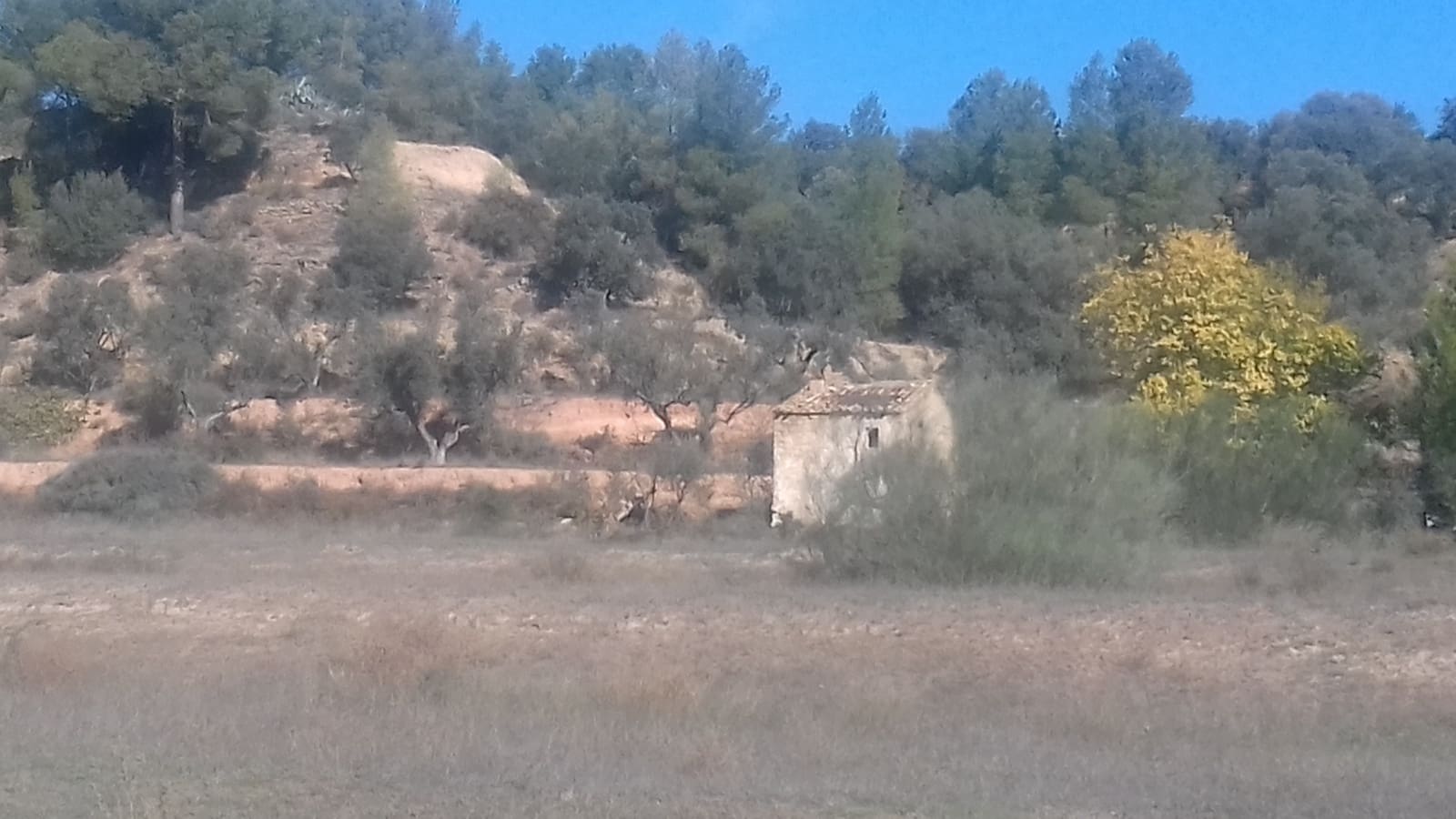 Finca/Maison de Campagne à vendre à Asco - 32 500 € (Ref: 9394445)