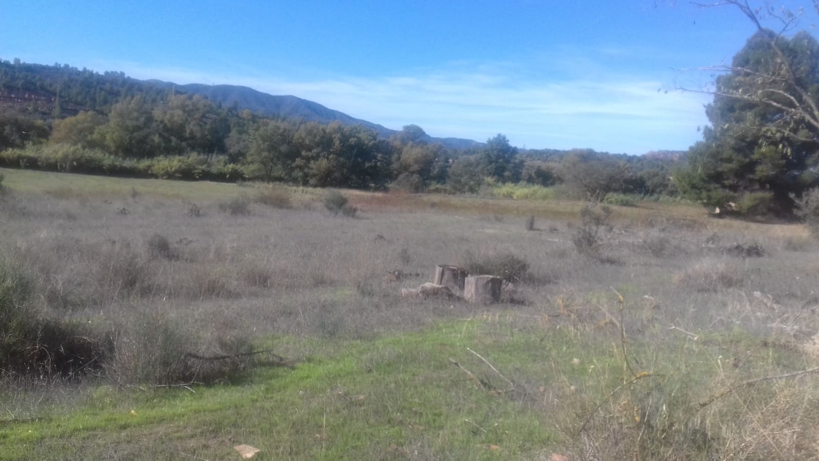 Finca/Maison de Campagne à vendre à Asco - 32 500 € (Ref: 9394445)