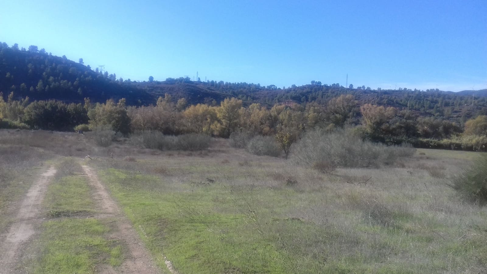 Finca/Maison de Campagne à vendre à Asco - 32 500 € (Ref: 9394445)