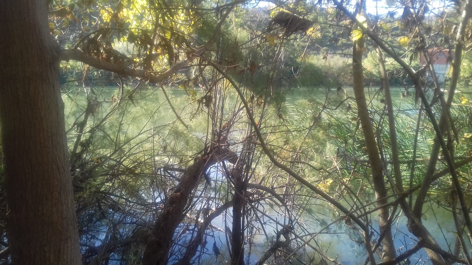 Finca/Maison de Campagne à vendre à Asco - 32 500 € (Ref: 9394445)