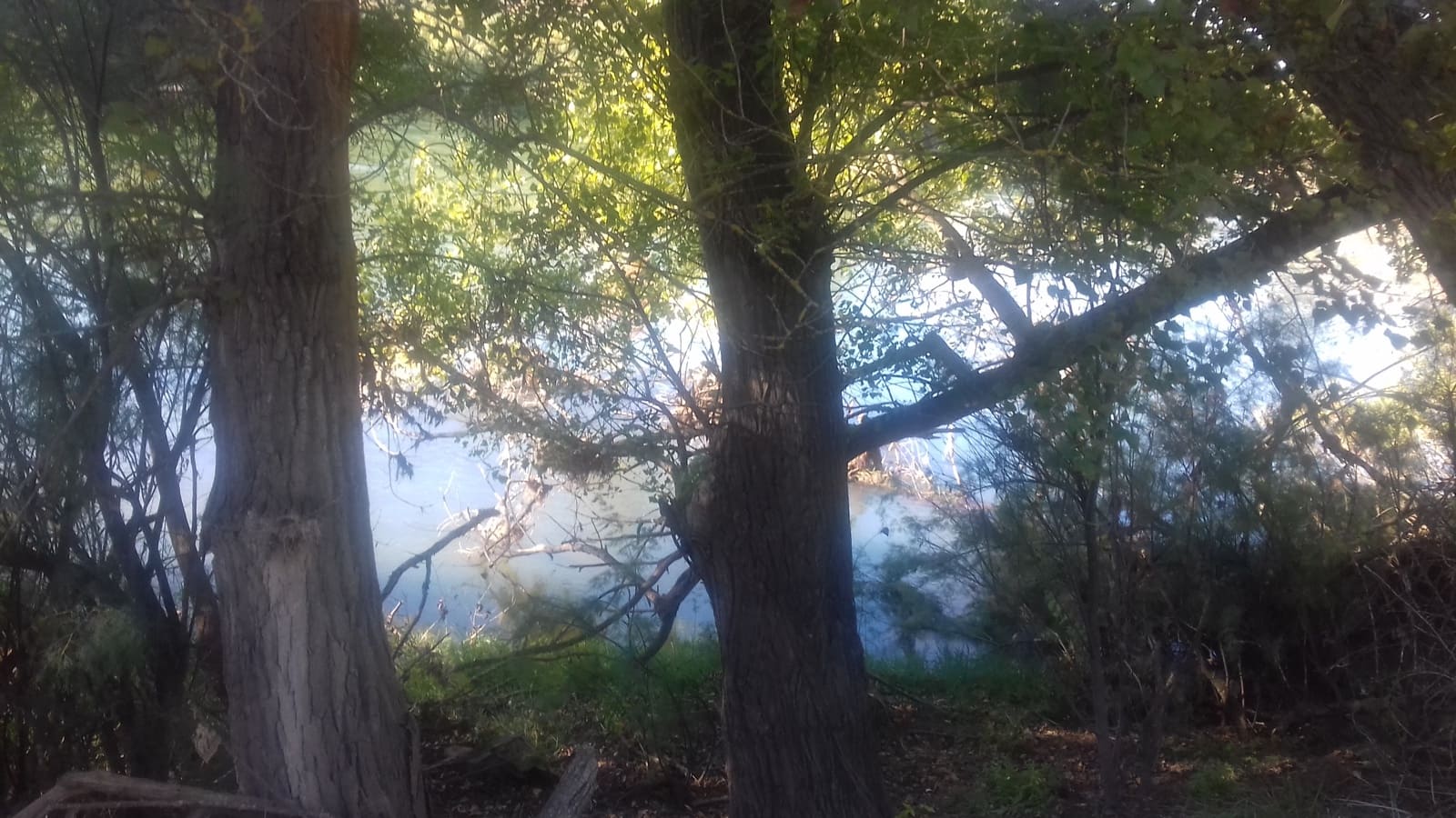 Finca/Maison de Campagne à vendre à Asco - 32 500 € (Ref: 9394445)