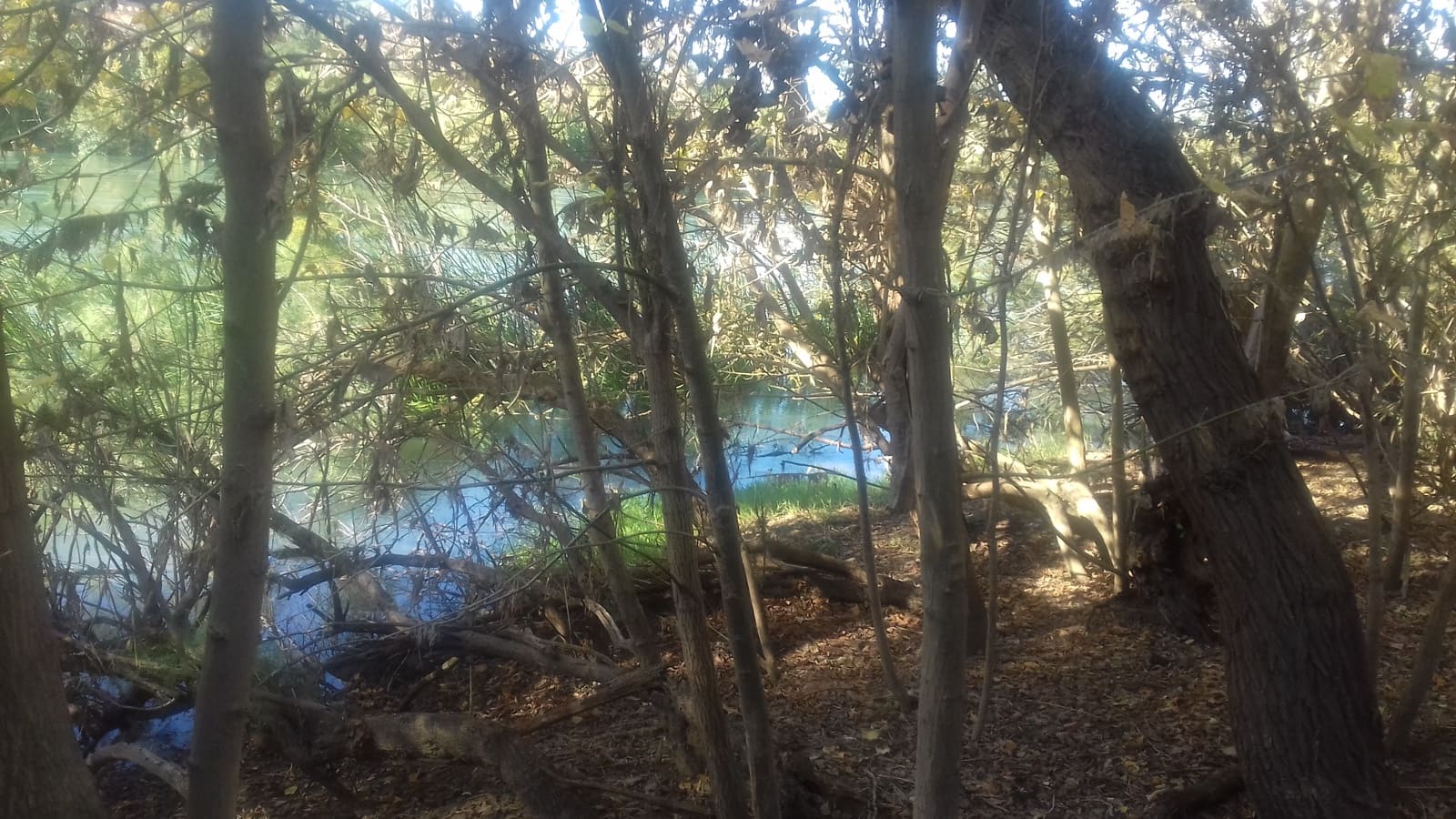 Finca/Maison de Campagne à vendre à Asco - 32 500 € (Ref: 9394445)