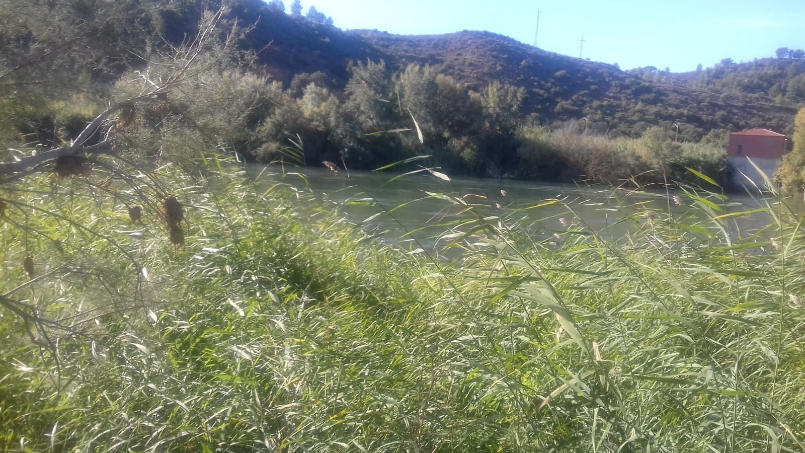 Finca/Maison de Campagne à vendre à Asco - 32 500 € (Ref: 9394445)