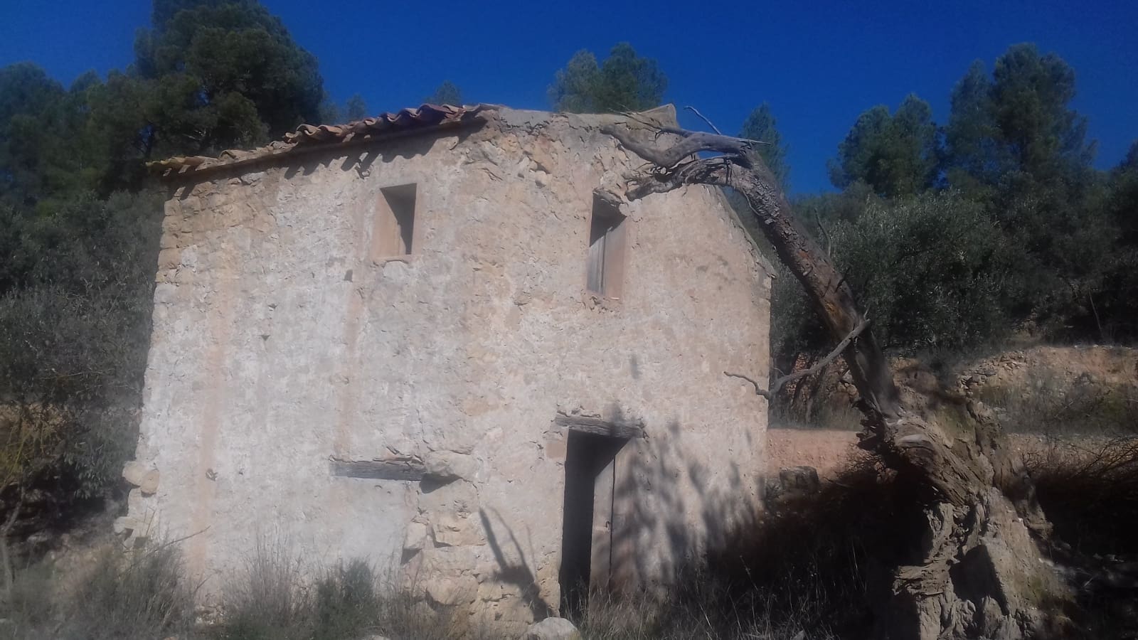 Finca/Maison de Campagne à vendre à Asco - 32 500 € (Ref: 9394445)