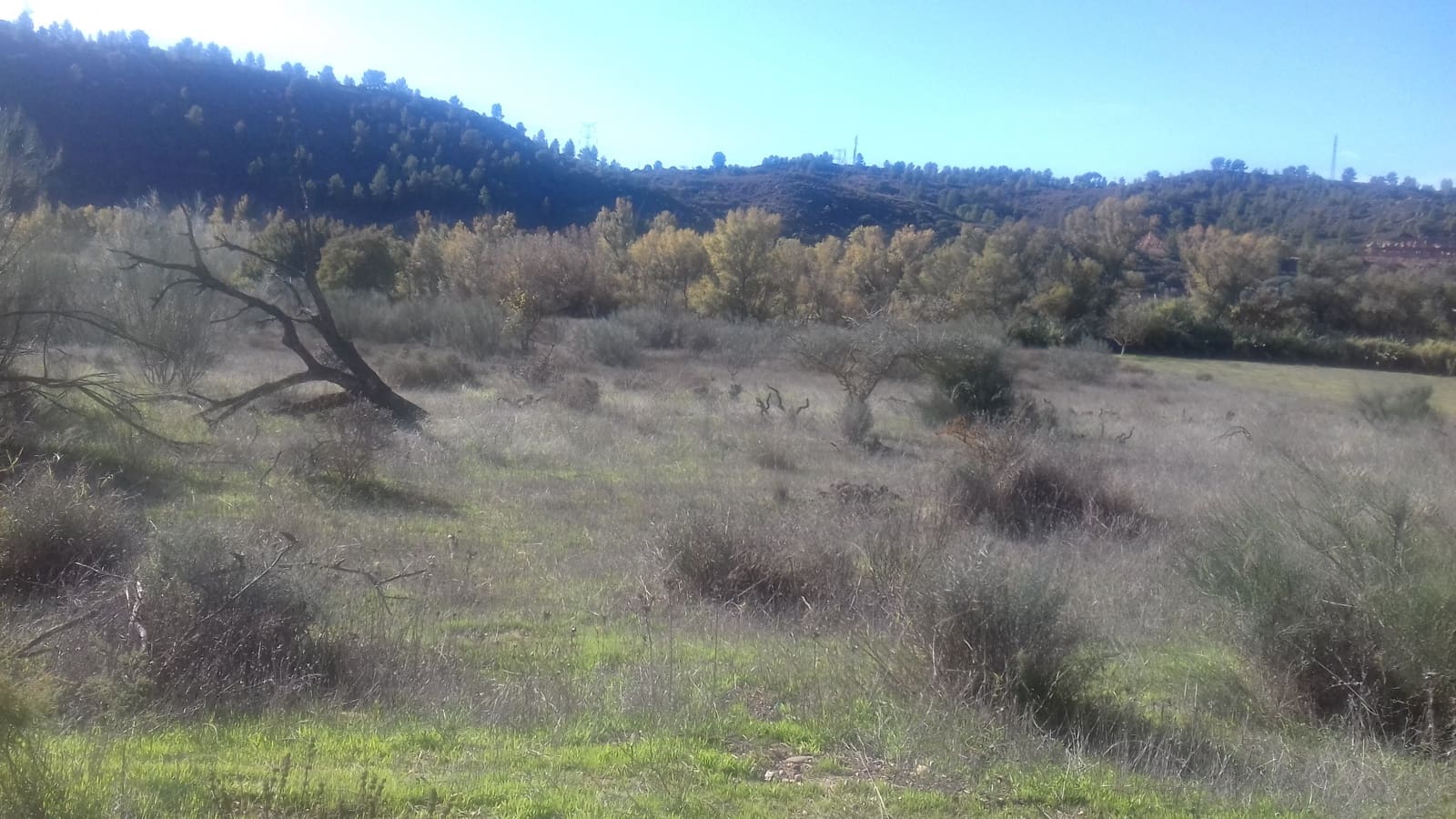 Finca/Maison de Campagne à vendre à Asco - 32 500 € (Ref: 9394445)