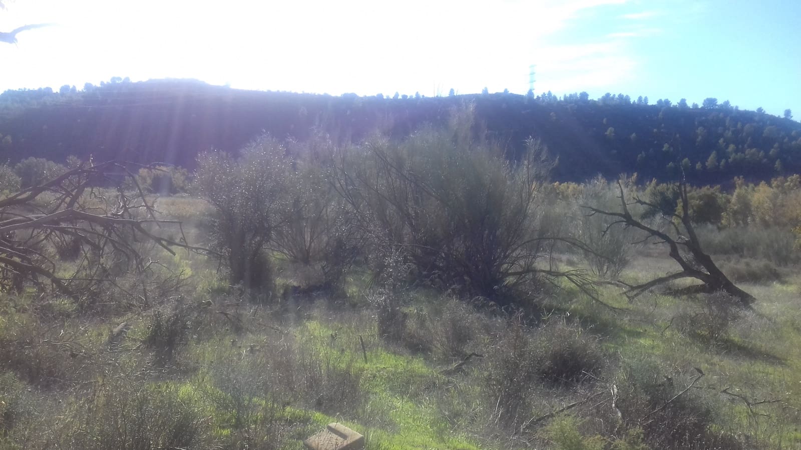 Finca/Maison de Campagne à vendre à Asco - 32 500 € (Ref: 9394445)