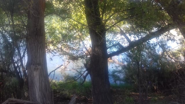 Finca/Country House for sale in Ascó - € 32,500 (Ref: 9394445)