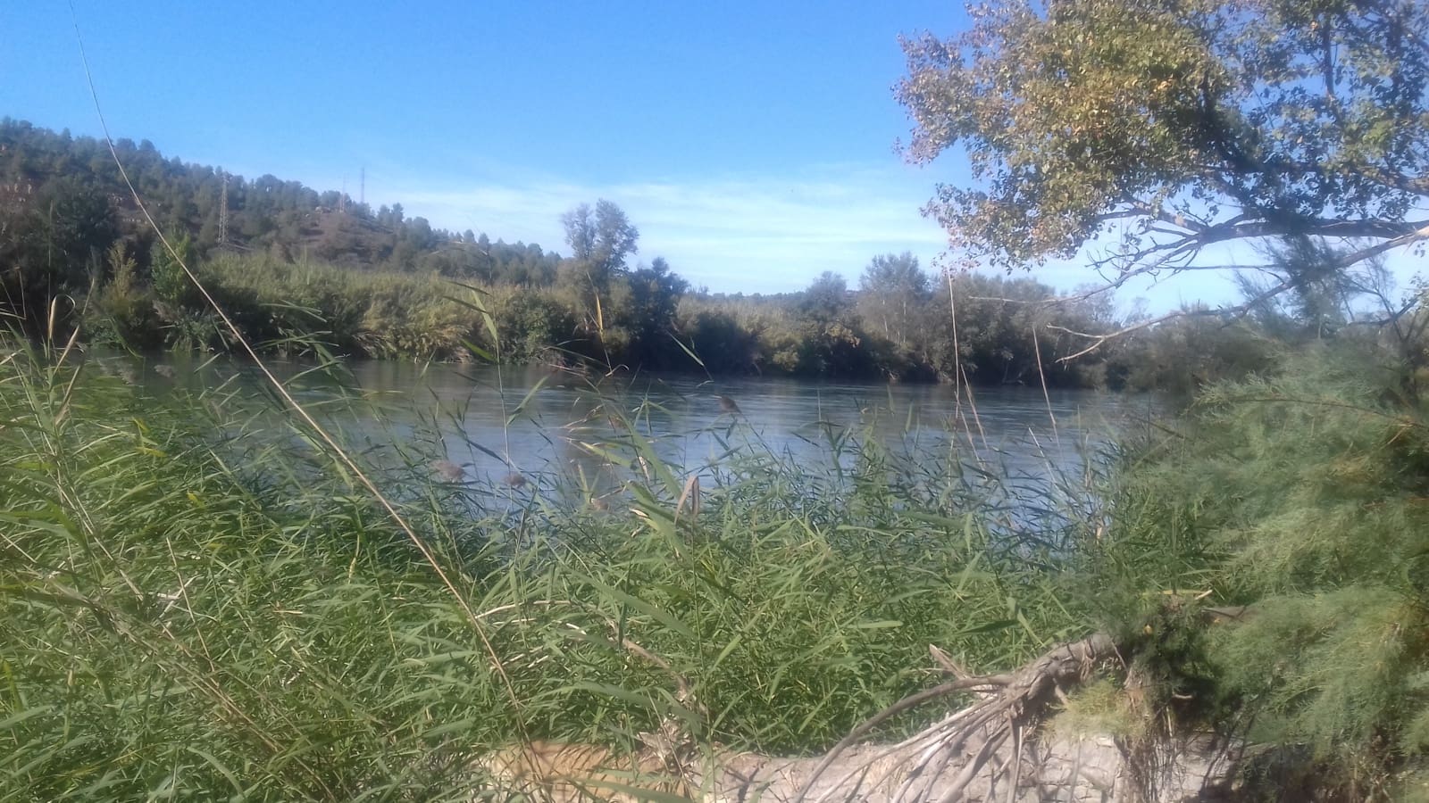 Finca/Maison de Campagne à vendre à Asco - 32 500 € (Ref: 9394445)