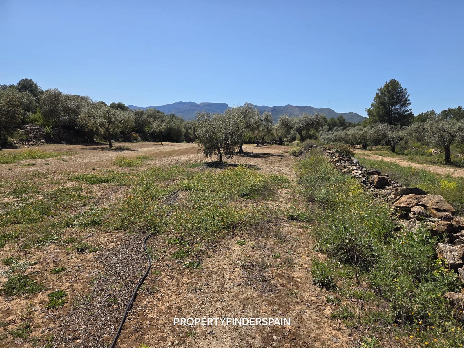 Finca/Landehus til salg i Ginestar - € 39.000 (Ref: 9747264)