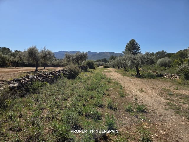 Finca/Landehus til salg i Ginestar - € 39.000 (Ref: 9747264)