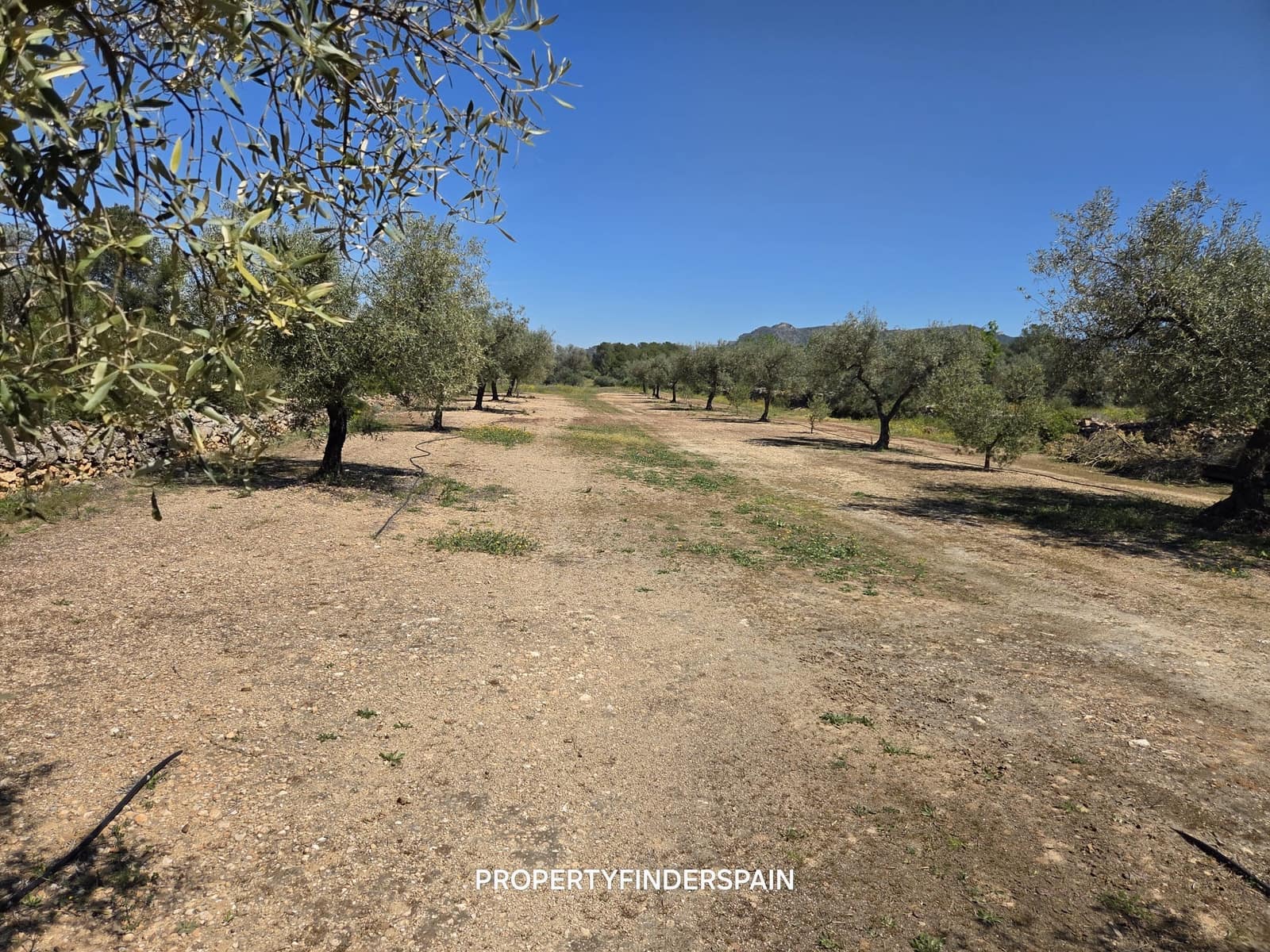 Finca/Landehus til salg i Ginestar - € 39.000 (Ref: 9747264)