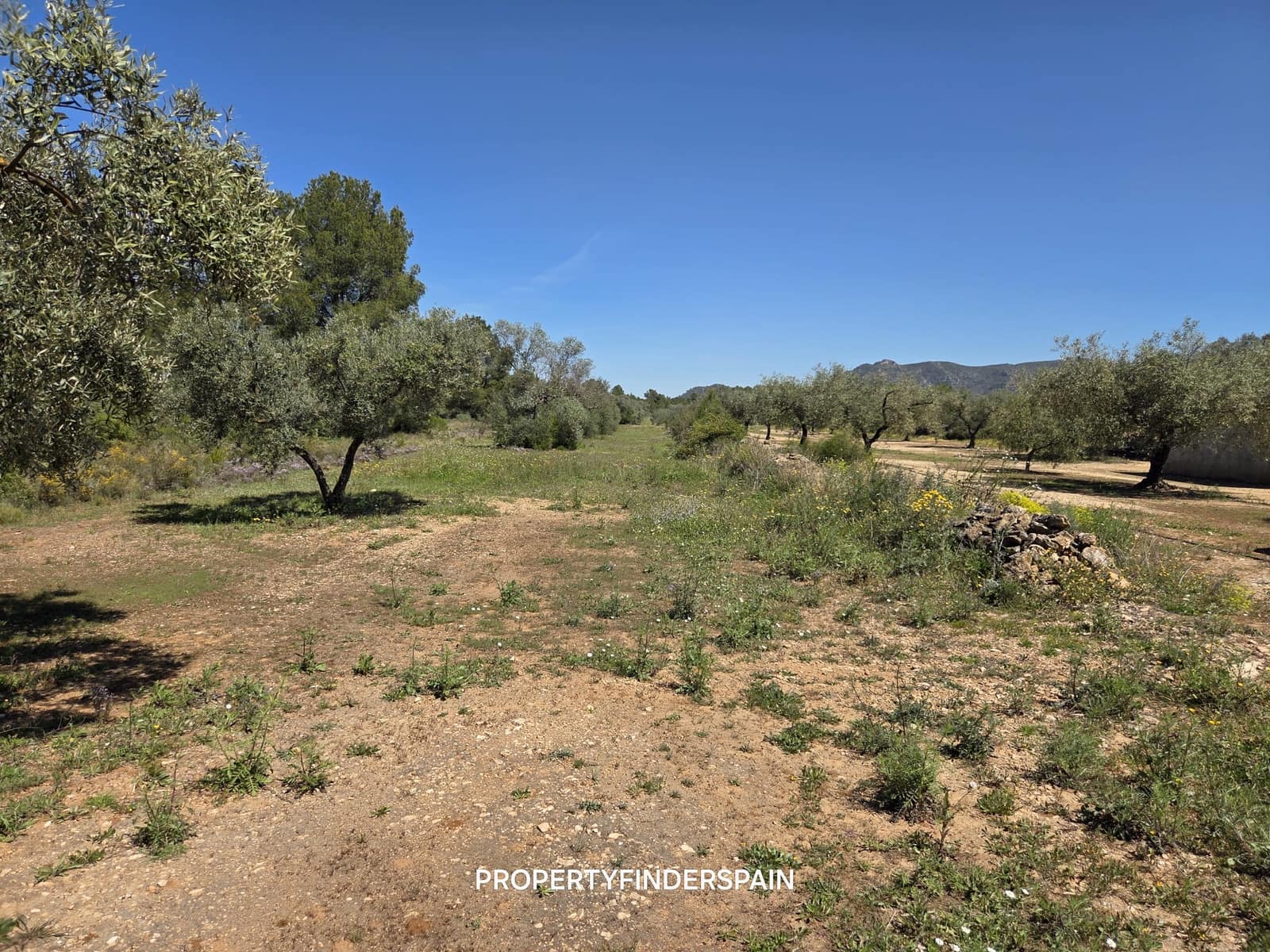 Finca/Landehus til salg i Ginestar - € 39.000 (Ref: 9747264)