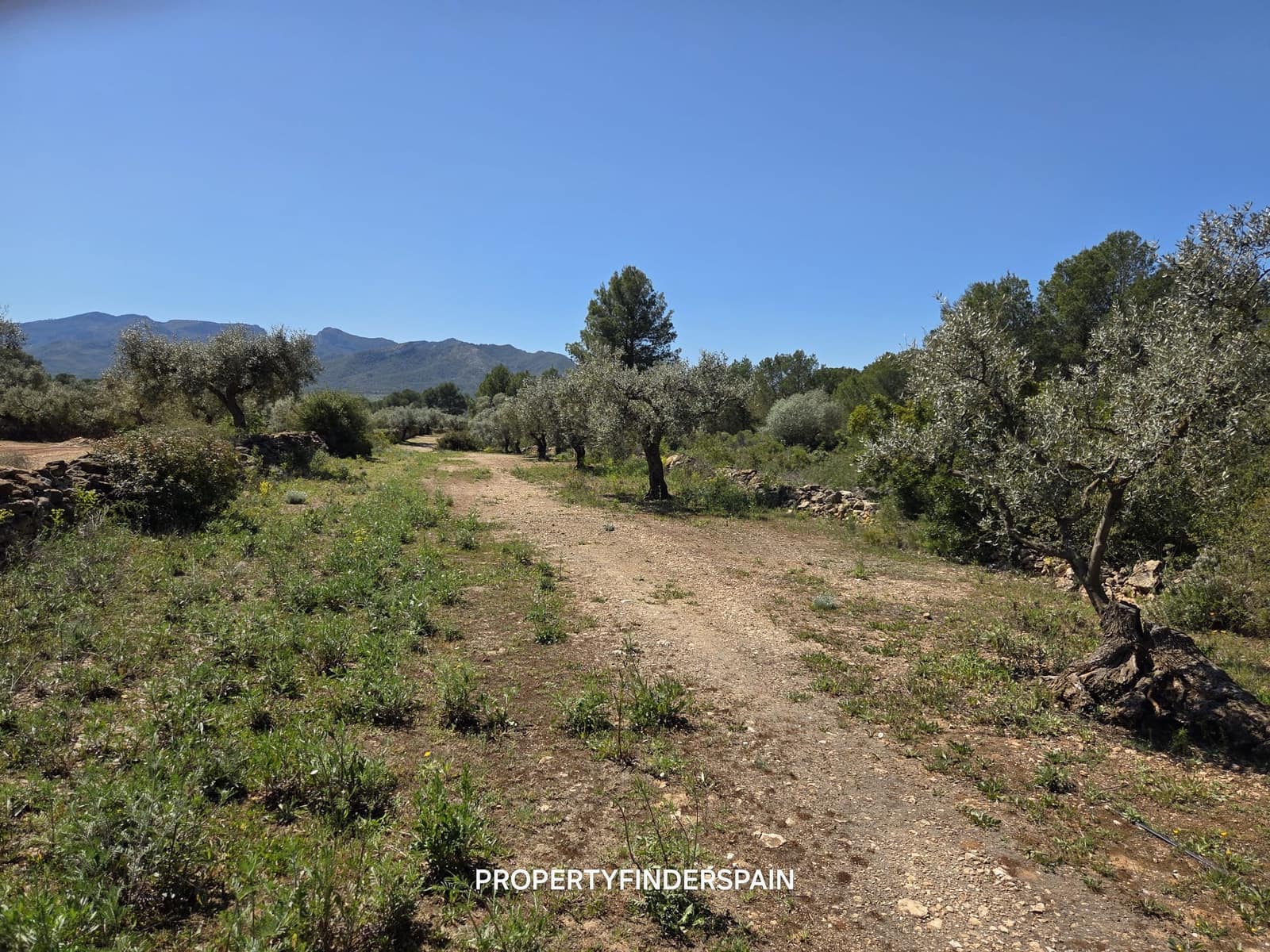 Finca/Landehus til salg i Ginestar - € 39.000 (Ref: 9747264)