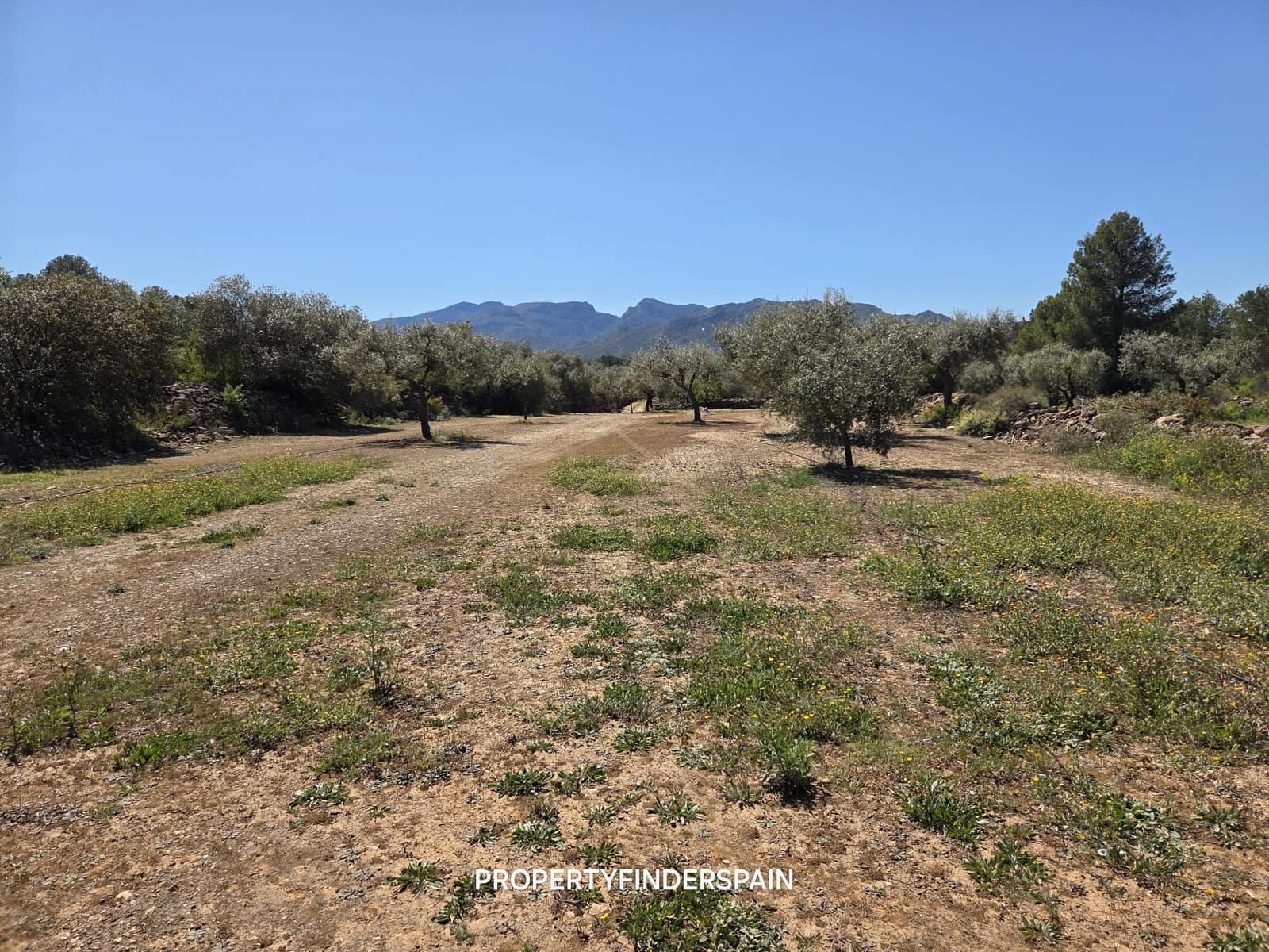 Finca/Landehus til salg i Ginestar - € 39.000 (Ref: 9747264)