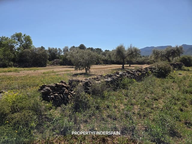 Finca/Landehus til salg i Ginestar - € 39.000 (Ref: 9747264)