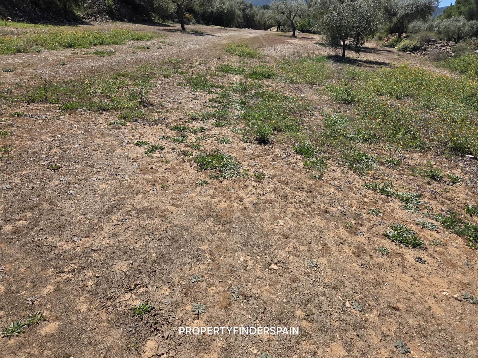 Finca/Landehus til salg i Ginestar - € 39.000 (Ref: 9747264)