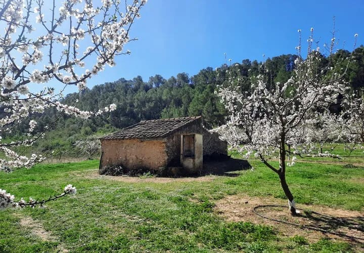 Finca/Landhuis te koop in Ginestar - € 40.000 (Ref: 9762270)