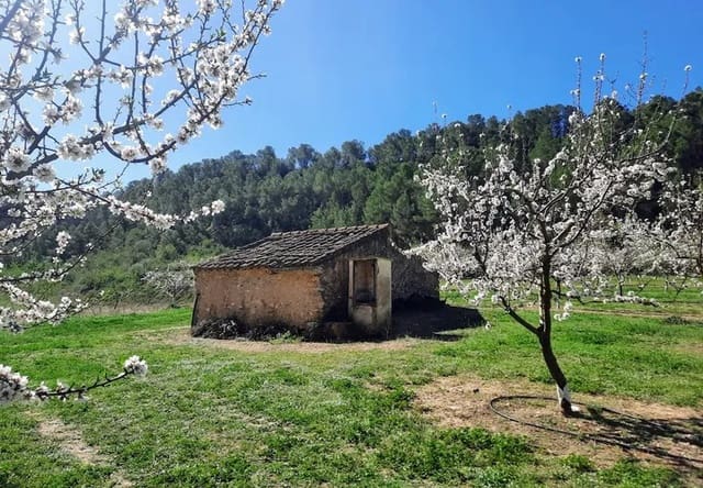 Finca/Landhuis te koop in Ginestar - € 40.000 (Ref: 9762270)