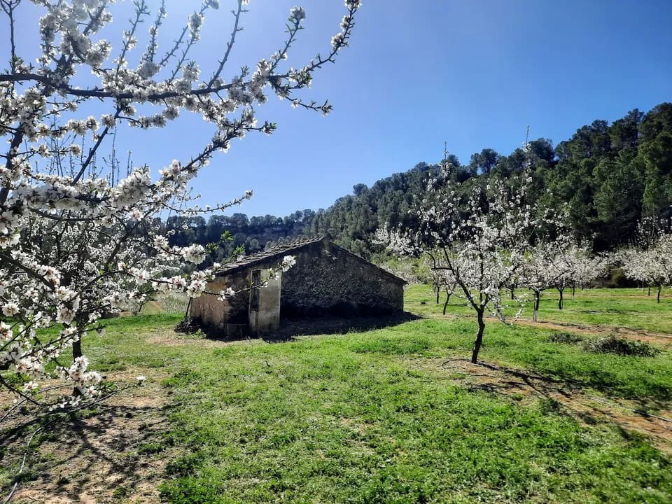 Finca/Landhuis te koop in Ginestar - € 40.000 (Ref: 9762270)