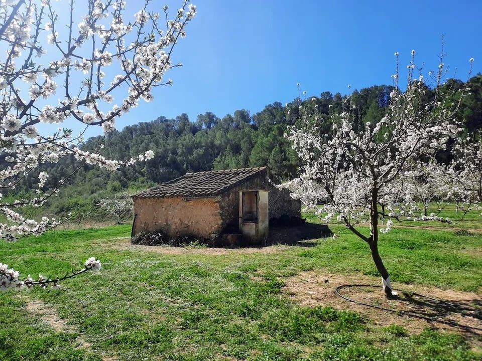 Finca/Landhuis te koop in Ginestar - € 40.000 (Ref: 9762270)