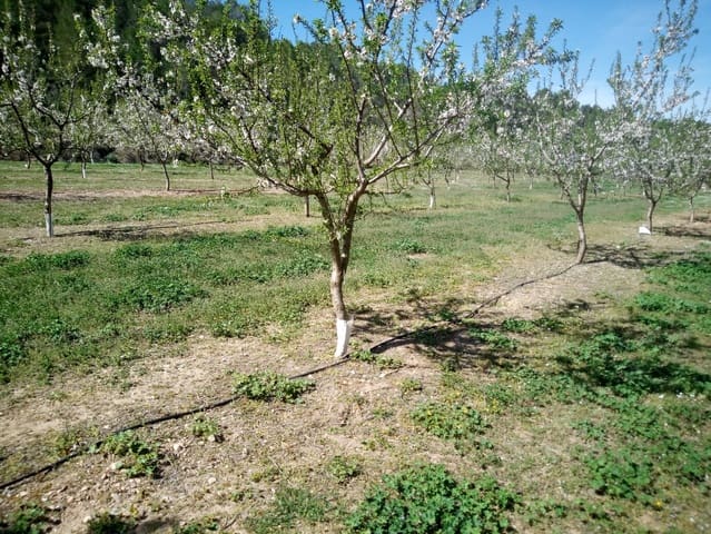 Finca/Landhuis te koop in Ginestar - € 40.000 (Ref: 9762270)