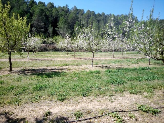 Finca/Landhuis te koop in Ginestar - € 40.000 (Ref: 9762270)