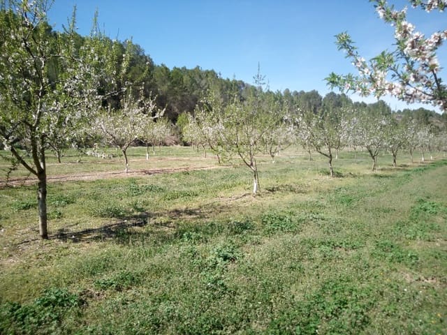 Finca/Landhuis te koop in Ginestar - € 40.000 (Ref: 9762270)