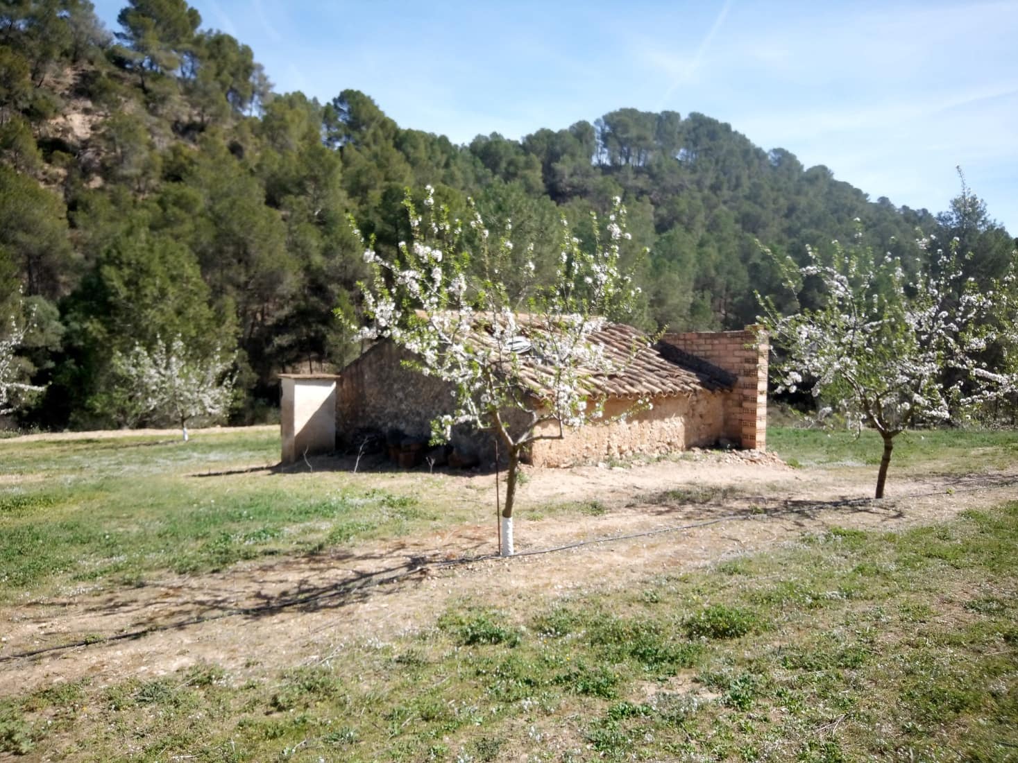 Finca/Landhuis te koop in Ginestar - € 40.000 (Ref: 9762270)