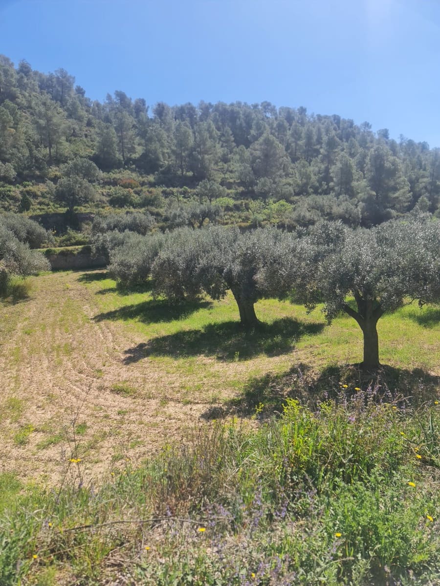 Finka/Dom wiejski na sprzedaż w Mora d'Ebre - 21 000 € (Ref: 9783844)