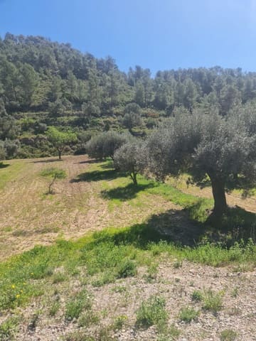 Finka/Dom wiejski na sprzedaż w Móra d'Ebre - 21 000 € (Ref: 9783844)