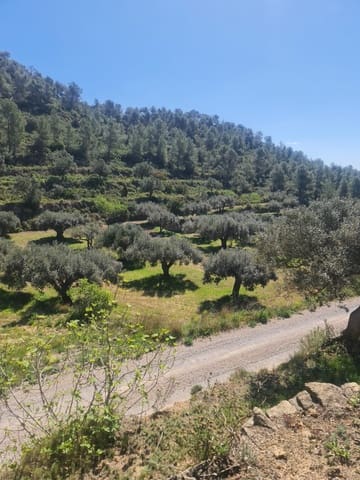 Finka/Dom wiejski na sprzedaż w Móra d'Ebre - 21 000 € (Ref: 9783844)