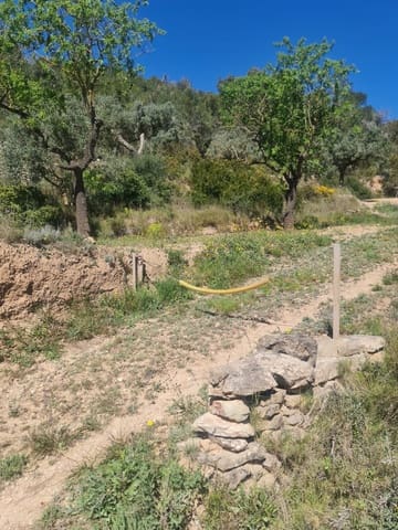 Finka/Dom wiejski na sprzedaż w Móra d'Ebre - 21 000 € (Ref: 9783844)