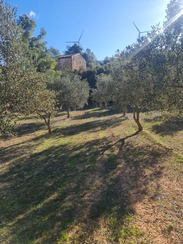 Finca/Casa Rural en Ascó en venta - 29.000 € (Ref: 9800735)