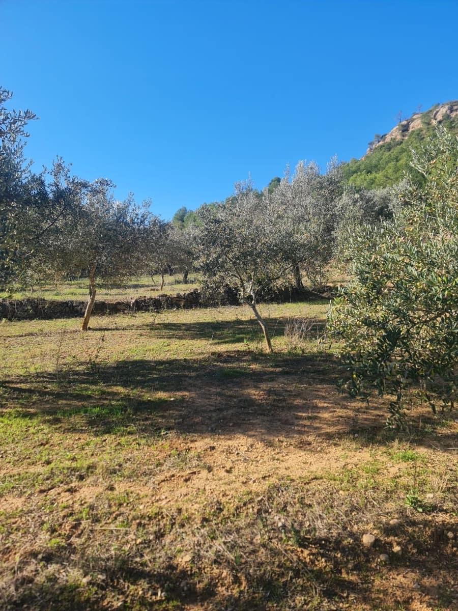 Finka/Dom wiejski na sprzedaż w Asco - 29 000 € (Ref: 9800735)