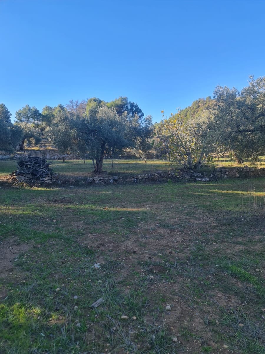 Finka/Dom wiejski na sprzedaż w Asco - 29 000 € (Ref: 9800735)