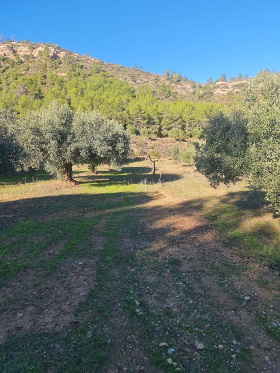 Finka/Dom wiejski na sprzedaż w Asco - 29 000 € (Ref: 9800735)