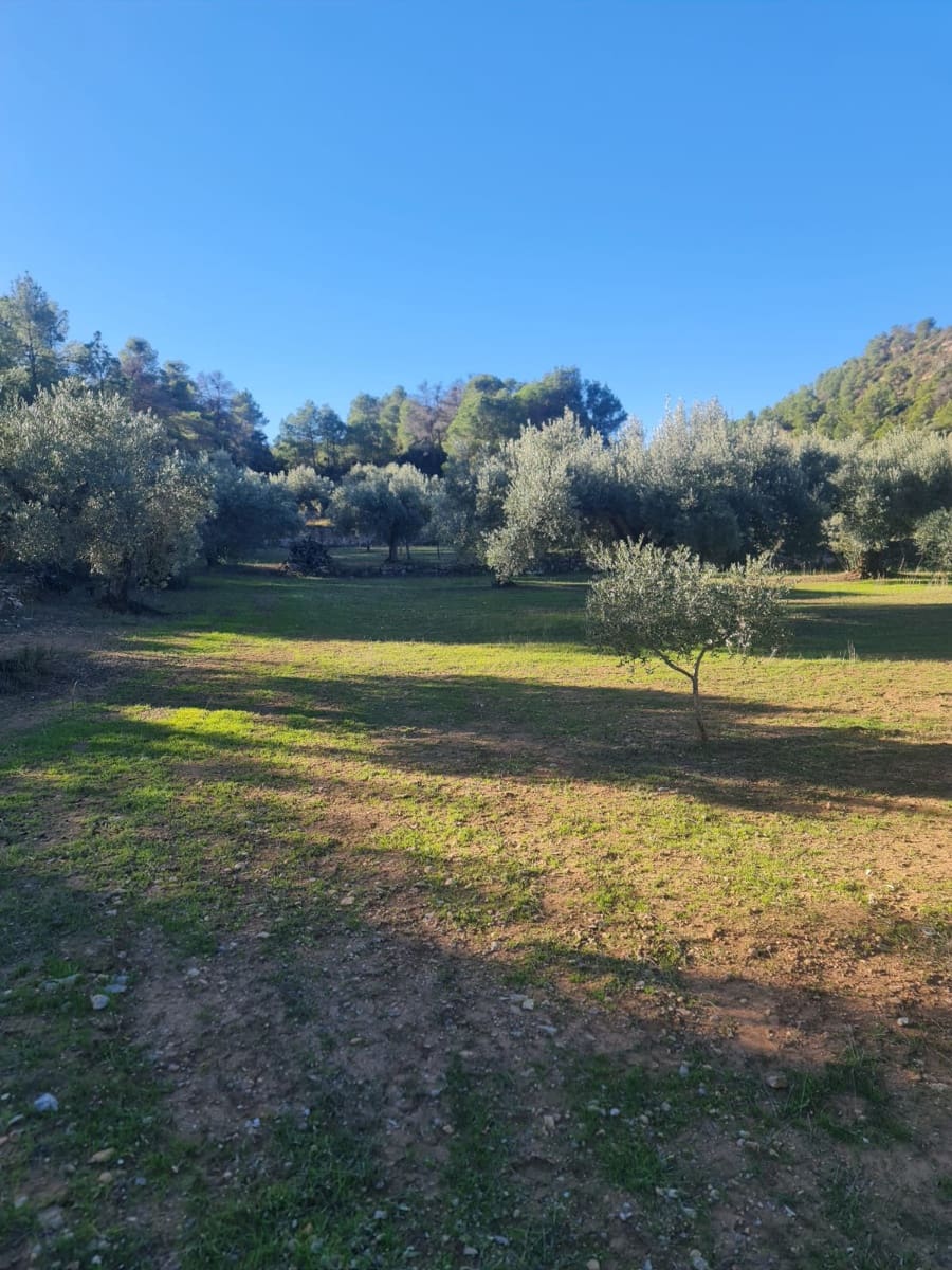 Finka/Dom wiejski na sprzedaż w Asco - 29 000 € (Ref: 9800735)