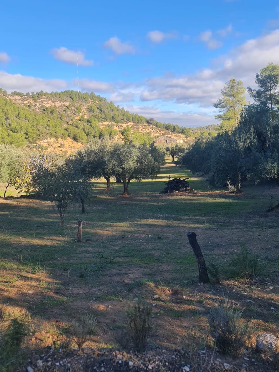 Finka/Dom wiejski na sprzedaż w Asco - 29 000 € (Ref: 9800735)