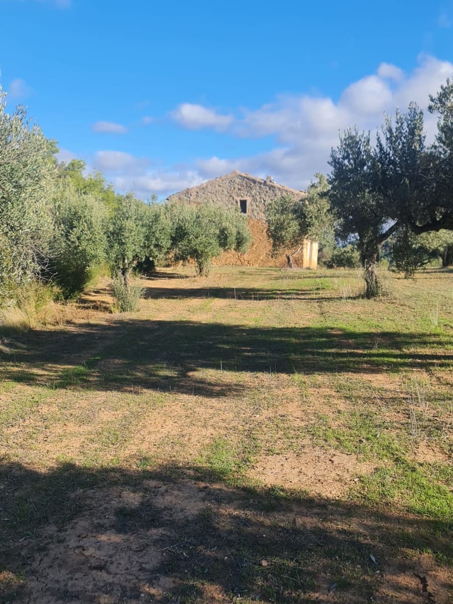 Finka/Dom wiejski na sprzedaż w Asco - 29 000 € (Ref: 9800735)