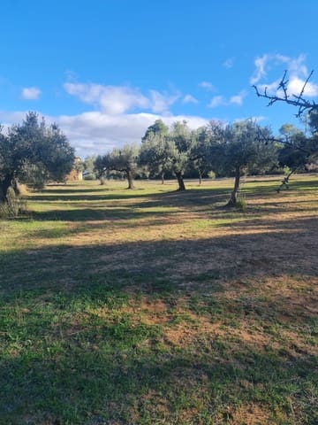 Finca/Casa Rural en Ascó en venta - 29.000 € (Ref: 9800735)